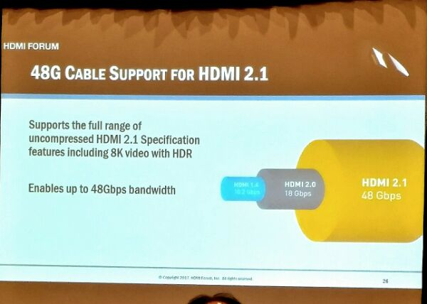 HDMI cavo 48G