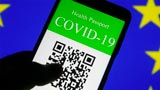 Green Pass falsi in vendita online a 100 euro. Il gruppo Telegram conta già 14 mila membri