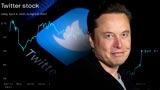 Elon Musk rinuncia a un posto nel consiglio di Twitter. Dove vuole arrivare?