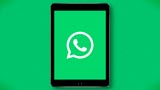 WhatsApp su iPad: a un anno dalla 'promessa' ancora niente da fare