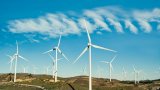 Parco eolico con turbine da 220 metri in provincia di Grosseto: scoppia la protesta dei residenti