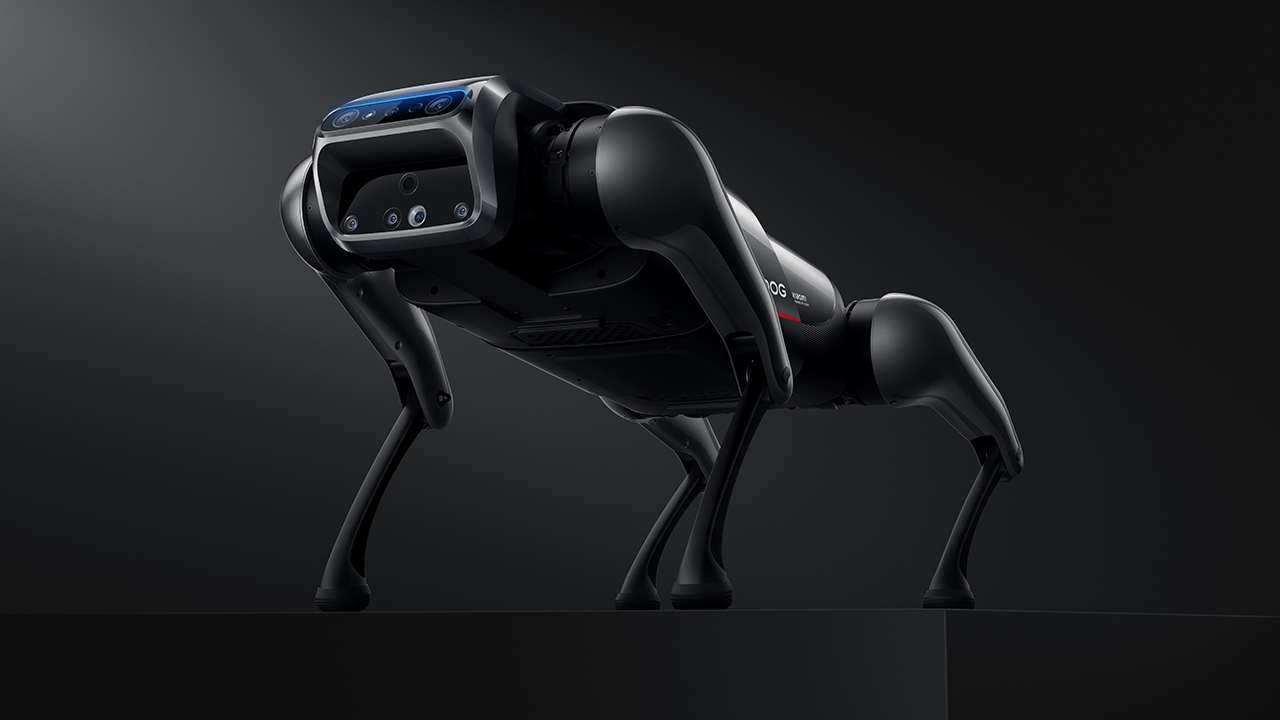 Xiaomi CyberDog è l'alternativa cinese al cane robot di Boston Dynamics? |  Hardware Upgrade
