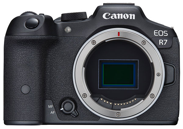Canon: il mercato delle fotocamere ''ha toccato il fondo'', le DSLR saranno  prodotte finché ci sarà domanda | Fotografi Digitali