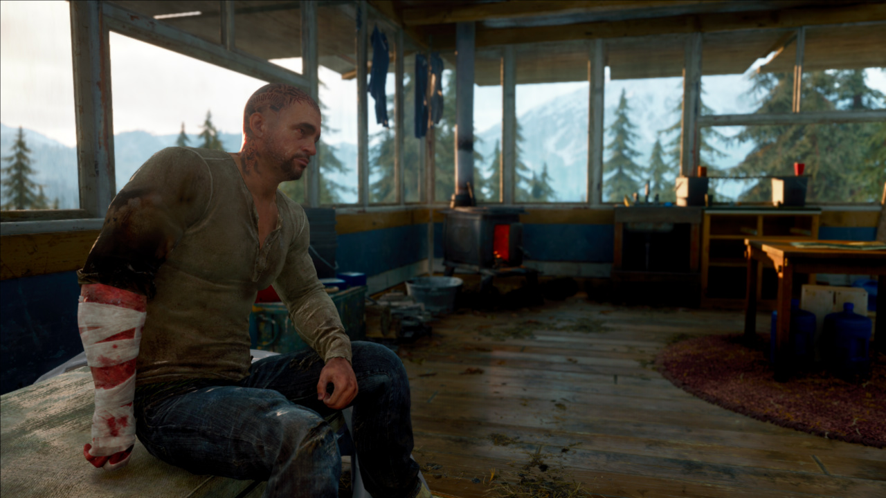 days gone boozer pc