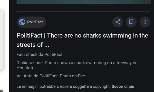 google immagini fact checking