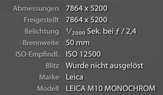 Leica M10 Monochrom rumors resolution
